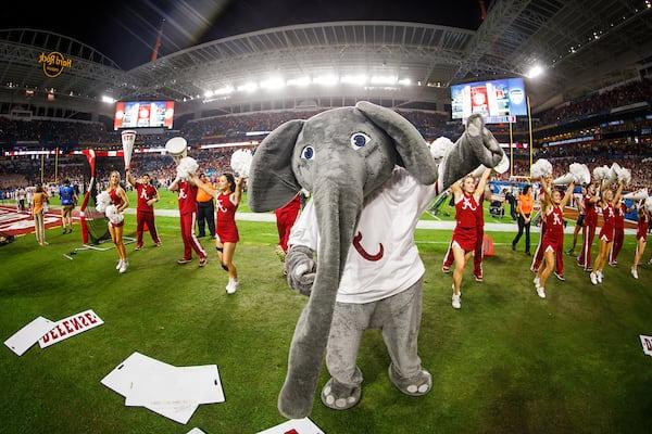 Big Al and the Alabama cheerleaders perform at the Orange Bowl